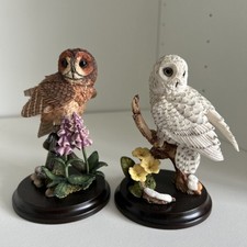 Country artist snowy for sale  BIRMINGHAM