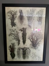 Weta - ENTS OF FANGORN FOREST Art Print Lord of the Rings LOTR TOP comprar usado  Enviando para Brazil