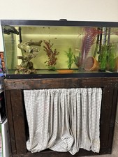 custom glass aquariums for sale custom glass aquariums for sale Lewisville