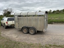 Graham edwards cattle for sale  MALTON