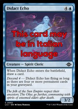 Mtg didact echo usato  Bari