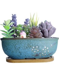 Artketty ceramic succulent for sale  MALMESBURY