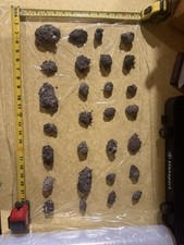 Large owl pellets d'occasion  Expédié en Belgium