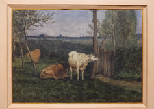 Vaches d'occasion  Bordeaux-