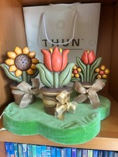 Thun collezione piante usato  Rimini