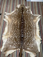 Big axis deer for sale  Kingman