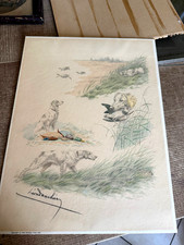 Ancienne lithographie leon d'occasion  Candas