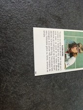 Tennis bjorn borg usato  Sassari