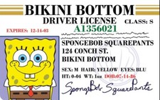 Funny spongebob squarepants for sale  Lake Zurich