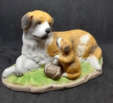 st bernard puppies for sale st bernard puppies for sale ASHFORD