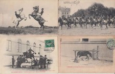 Horses horse 110 d'occasion  Expédié en France