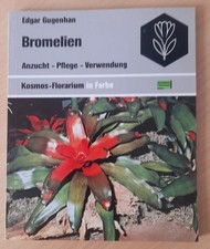 Bromelien anzucht pflege gebraucht kaufen  Gundelfingen