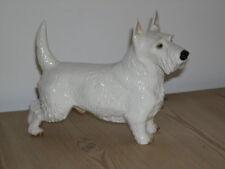 Large rare antique for sale  WARRINGTON