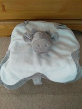 Noukies grey cow for sale  PLYMOUTH