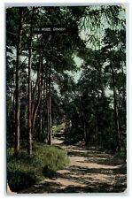 Postcard clevedon somerset for sale  TEWKESBURY