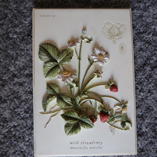 Hand painted flower for sale  READING