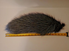 Colored real fox for sale  Brookville