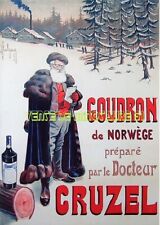 Goudron norwège docteur d'occasion  Épernay