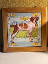 Brittany spaniel dog for sale  Copperas Cove