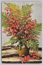 Heuchera sanguinea coral d'occasion  Expédié en Belgium