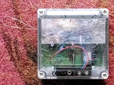 Axt electronic hen for sale  WIMBORNE