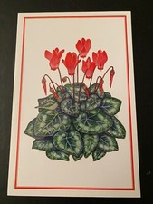 Old postcard vintage d'occasion  Marcinelle
