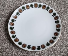 Beautiful delphine bone for sale  LINCOLN