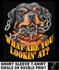 Looking pissed rottweiler for sale  Cape Coral