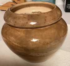 violet african planter pot for sale  Oak Ridge