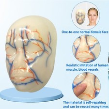 Modello allenamento micropigme usato  Spedire a Italy