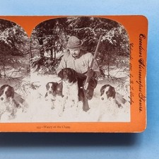 Stereoview card real for sale  TELFORD