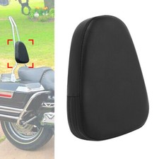 Motorcycle rear passenger for sale  USA