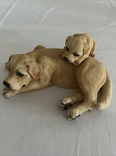 Labrador retriever vintage for sale  Oklahoma City
