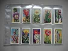 Cacti full set for sale  BRIGG