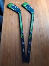Florida everblades inglasco for sale  ASHFORD
