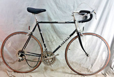 1986 raleigh capri for sale  Madison