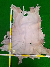 Hirschleder 2mm dick gebraucht kaufen  Schwäbisch Gmünd