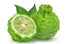 Kaffir lime lemon for sale  Spring City