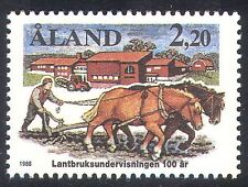 Aland 1988 horses for sale  UK