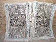 Alte buchseiten endter gebraucht kaufen Alte buchseiten endter gebraucht kaufen  Wolgast