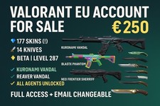 Valorant premium account gebraucht kaufen  Duisburg