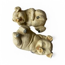 Laughing spotted pig for sale  Ridgway