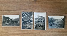 20978. quattro fotografie usato  Montevarchi