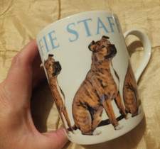 Leonardo staffie bull for sale  CONGLETON
