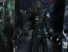 Alien blue warrior for sale  Coxs Creek