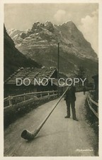 Rppc postcard alphorn for sale  LINCOLN