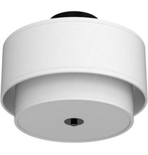 Flush mount ceiling for sale  Brandon
