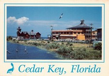 Cedar key pelican for sale  Palm Bay