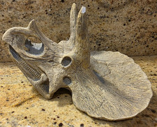 1987 dinosaur triceratops for sale  Woodbridge