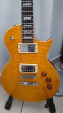 Chitarra elettrica les usato  Tula
